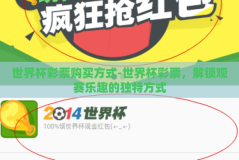 世界杯彩票购买方式-世界杯彩票，解锁观赛乐趣的独特方式