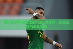微信世界杯冠军之路-微信世界杯，冠军之路的非凡旅程