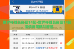 世界杯胜负彩票14场-世界杯胜负彩票14场，激情与策略的碰撞