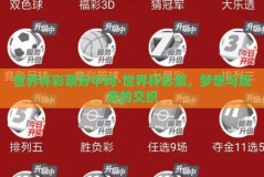 世界杯彩票好中吗-世界杯彩票，梦想与现实的交织