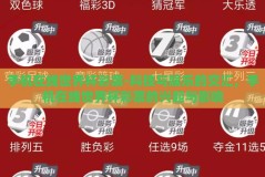 手机在线世界杯彩票-科技与娱乐的交汇，手机在线世界杯彩票的兴起与影响
