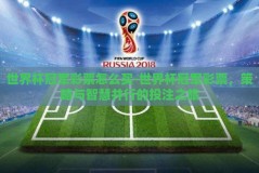 世界杯冠军彩票怎么买-世界杯冠军彩票，策略与智慧并行的投注之旅