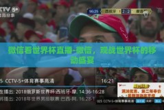 微信看世界杯直播-微信，观战世界杯的移动盛宴