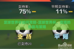 足球世界杯如何竞猜-足球世界杯，竞猜的乐趣与策略