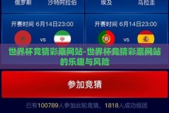世界杯竞猜彩票网站-世界杯竞猜彩票网站的乐趣与风险