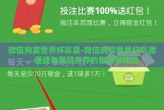 微信购买世界杯彩票-微信购买世界杯彩票，便捷与风险并存的数字新体验