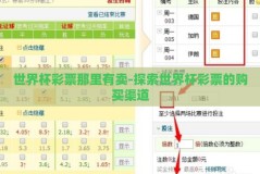 世界杯彩票那里有卖-探索世界杯彩票的购买渠道