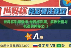 世界杯彩票查询-世界杯彩票，解锁激情与机遇的神秘之门