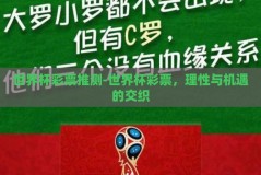 世界杯彩票推测-世界杯彩票，理性与机遇的交织