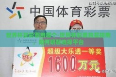 世界杯买彩票用哪个-世界杯彩票购买指南，如何明智选择平台