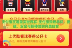 支付宝在哪里买世界杯-支付宝购世界杯，便捷、安全与新体验的完美结合