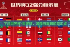 下注世界杯-世界杯，激情与策略的交汇点