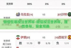 微信在哪投注世界杯-微信投注世界杯，理性参与，安全观赛