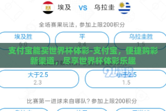 支付宝能买世界杯体彩-支付宝，便捷购彩新渠道，尽享世界杯体彩乐趣