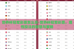 世界杯冠军彩票怎么买-世界杯冠军彩票，理性投注的智慧与策略