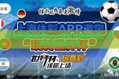 竞猜世界杯彩票app-竞猜世界杯彩票，激情与智慧的碰撞