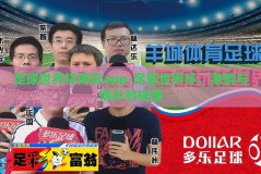 足球世界杯博彩app-足球世界杯，激情与博彩的碰撞