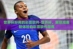 世界杯好用的彩票软件-世界杯，解锁观赛新体验的彩票软件指南