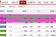 足彩世界杯单场玩法-足彩世界杯单场玩法的魅力与策略
