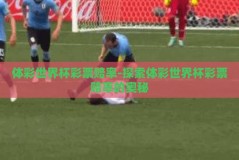 体彩世界杯彩票赔率-探索体彩世界杯彩票赔率的奥秘