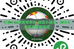 微信小程序看世界杯-微信小程序，解锁世界杯观赛新体验