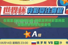 在哪里买世界杯彩票-探索世界杯彩票购买渠道的多样性与安全性