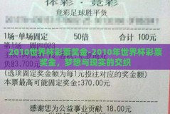 2010世界杯彩票奖金-2010年世界杯彩票奖金，梦想与现实的交织