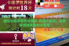 微信小程序世界杯赌球-微信小程序，世界杯赌球现象的冷思考