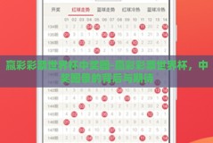 赢彩彩票世界杯中奖图-赢彩彩票世界杯，中奖图景的背后与期待