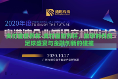 支付宝世界杯-支付宝世界杯，数字时代的足球盛宴与金融创新的碰撞