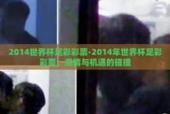 2014世界杯足彩彩票-2014年世界杯足彩彩票，激情与机遇的碰撞