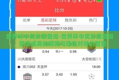 世界杯中奖彩票查询-世界杯中奖彩票查询，梦想成真的瞬间与理性对待的智慧