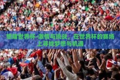 想赌世界杯-激情与挑战，在世界杯的赛场上寻找梦想与机遇