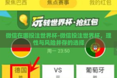 微信在哪投注世界杯-微信投注世界杯，理性与风险并存的选择