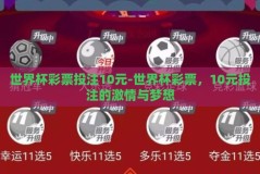 世界杯彩票投注10元-世界杯彩票，10元投注的激情与梦想