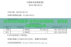 世界杯彩票概率-世界杯彩票概率，理性投注的智慧之选