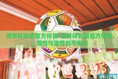 世界杯彩票官方停售-世界杯彩票官方停售，理性与激情的平衡点