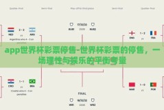 app世界杯彩票停售-世界杯彩票的停售，一场理性与娱乐的平衡考量
