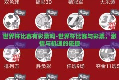 世界杯比赛有彩票吗-世界杯比赛与彩票，激情与机遇的碰撞