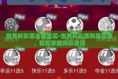 世界杯彩票去哪里买-世界杯彩票购买指南，轻松掌握购彩途径