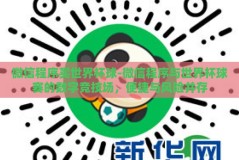 微信程序买世界杯球-微信程序与世界杯球赛的数字竞技场，便捷与风险并存