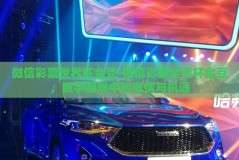微信彩票世界杯金豆-微信彩票世界杯金豆，数字游戏中的激情与机遇