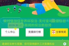支付宝微信世界杯投注-支付宝与微信在世界杯期间的投注新趋势
