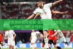 足球世界杯如何竞猜-足球世界杯竞猜，乐趣与技巧并存的足球盛宴