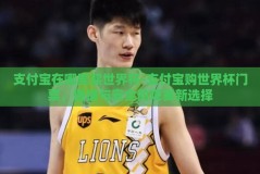 支付宝在哪里买世界杯-支付宝购世界杯门票，便捷与安全的观赛新选择