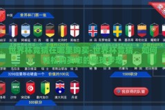 世界杯竞猜在哪里购买-世界杯竞猜，如何轻松购买您的足球梦想