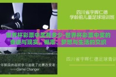 世界杯彩票中奖有多少-世界杯彩票中奖的奇迹与现实，概率、梦想与生活的交织