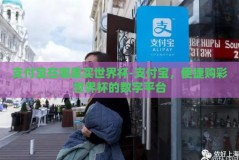 支付宝在哪里买世界杯-支付宝，便捷购彩世界杯的数字平台