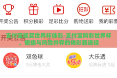支付宝能买世界杯体彩-支付宝购彩世界杯，便捷与风险并存的体彩新途径