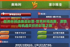 世界杯预选赛买彩票-世界杯预选赛，激情与机遇交织的彩票之旅